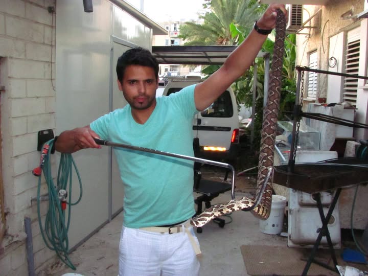 לכידת נחשים